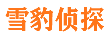 邕宁外遇调查取证